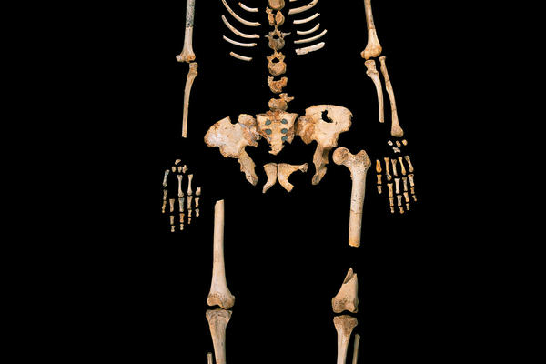 PRONAĐENI 5.000 godina stari ostaci DIVOVA u Kini: Evo i objašnjenja za njihovu neverovatnu veličinu! (VIDEO)