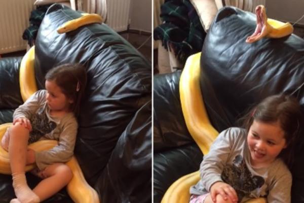 OVE RODITELJE MRZI CEO SVET! Ostavili su devojčicu PORED TELEVIZORA, a obmotao ju je PITON OD 4 METRA! Njihova reakcija je sledeća! (VIDEO)