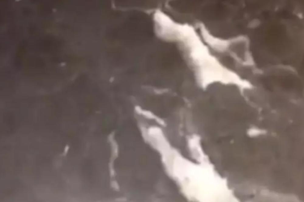 VUČE LI VUČE! Poznata starleta se drogira, a odao je selfi na Instagramu (FOTO)