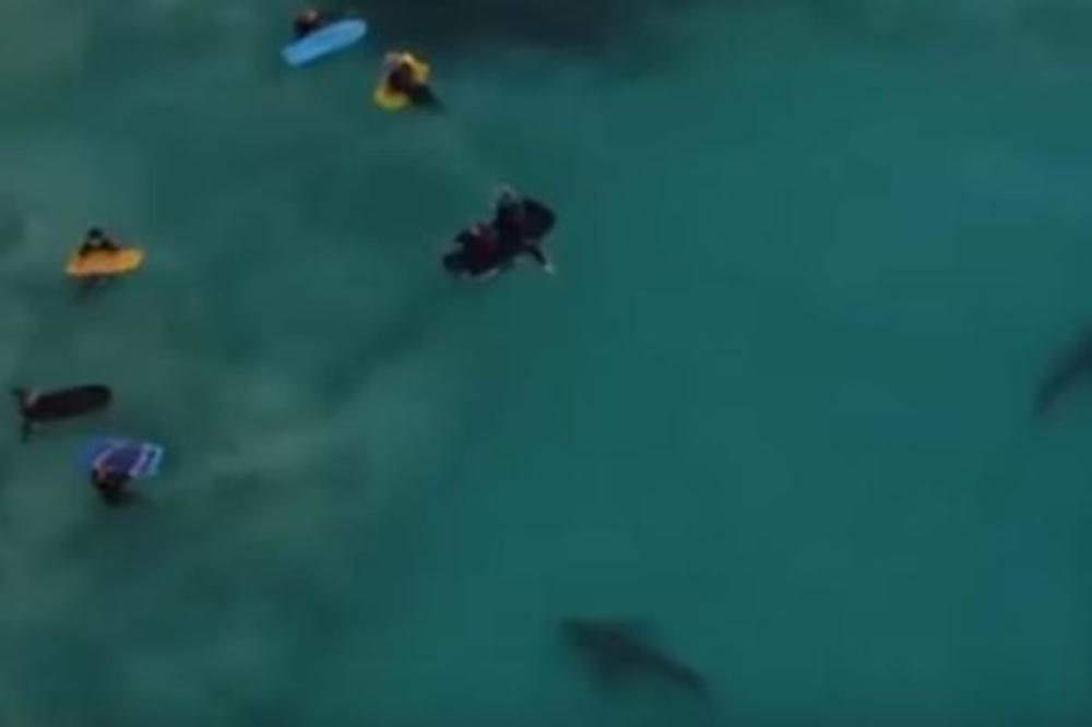 STRAVIČAN SNIMAK! Deca se kupaju, a oko njih kruže ajkule! (VIDEO)