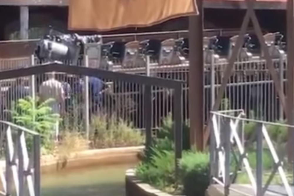 SUDAR 2 ROLERKOSTERA! Krv na sve strane, gomila povređenih, među njima najviše DECE! (VIDEO)