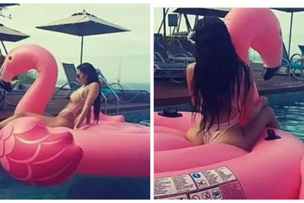 NAMA JE POPRILIČNO MUKA OD LABUDOVA I FLAMINGOSA! Estrada zajahala pa ne silazi sa ovih groznih ČUDA