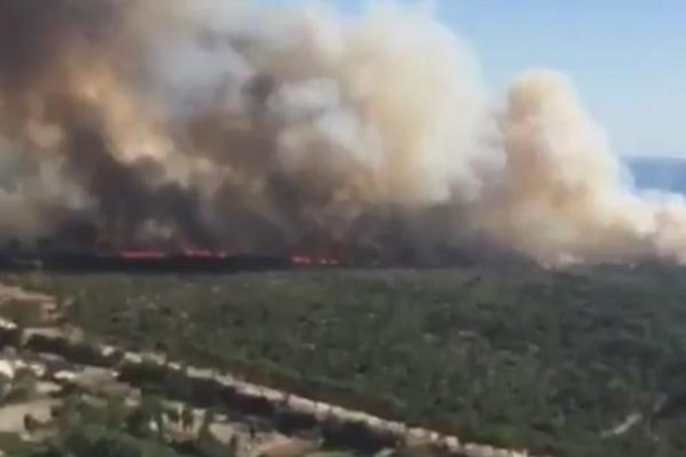 GORI CELA ITALIJA! Buknulo 1.000 požara, ima stradalih! VATRA OKRUŽILA RIM, situacija je kritična! (FOTO) (VIDEO)