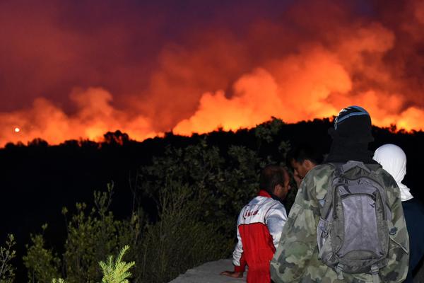 NOVI PROBLEMI: Požar iz Crne Gore se proširio na jug Hrvatske!