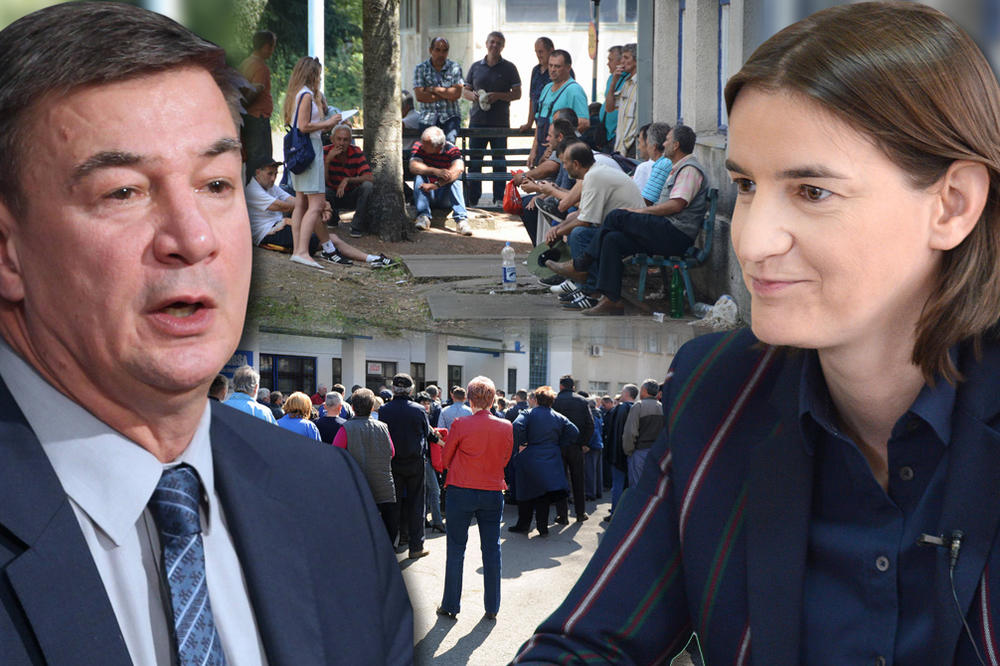 BOGATAŠI IZ VLADE UČE RADNIKE KAKO DA VOLE SRBIJU! Ministri napadaju štrajkače koji ni za hleb nemaju!