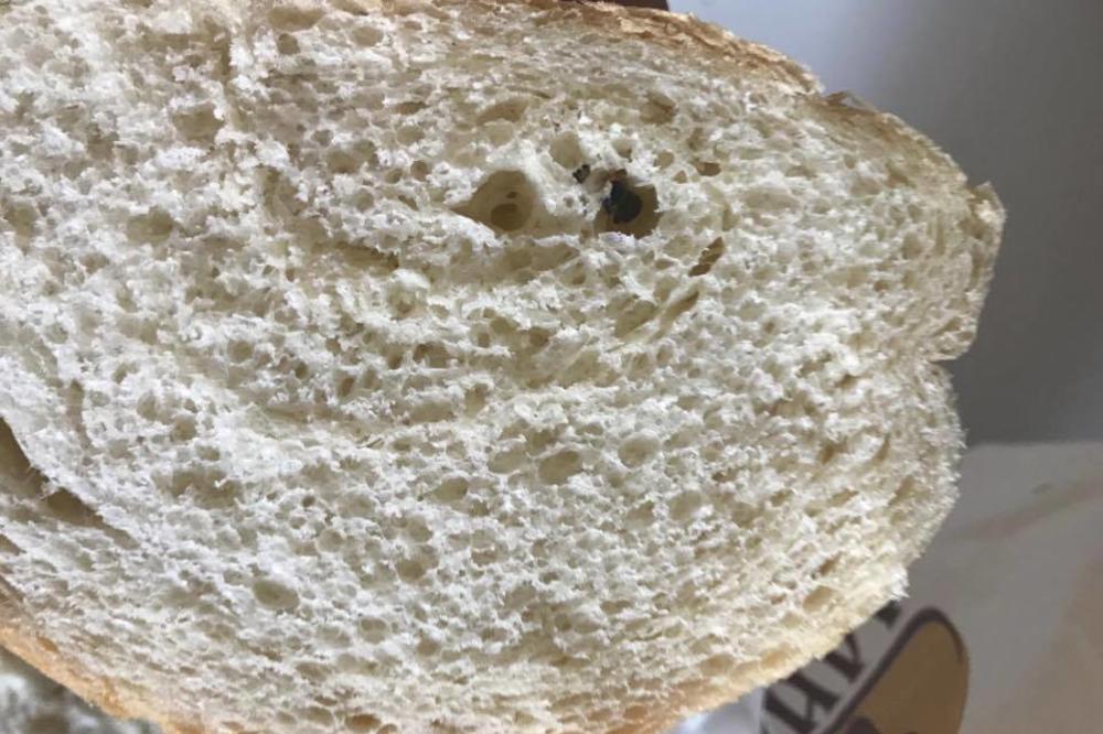 ČIK POGODI ŠTA IMAM ZA VEČERU! Nije buđav lebac, al' unutra je pečena muva gratis! (FOTO)