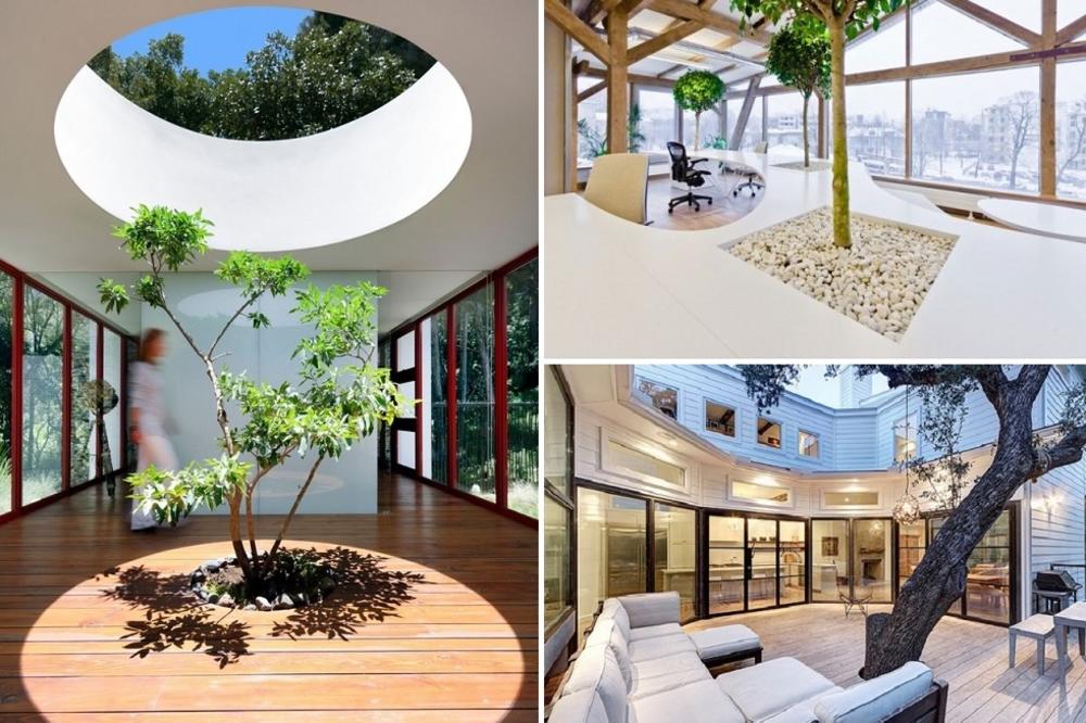 Drveće u kući? Zvuči čudno, ali izgleda savršeno! (FOTO)