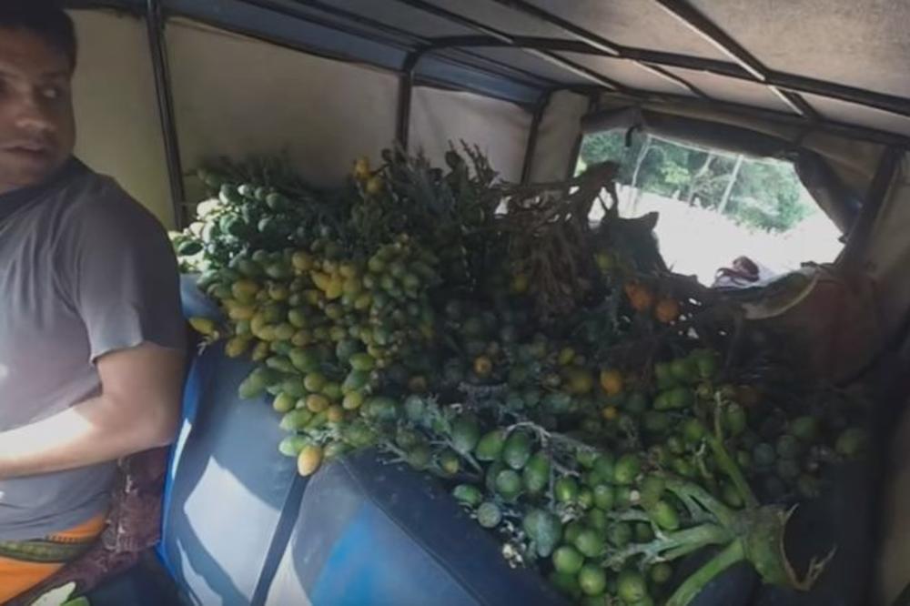 MILIONI LJUDI IH JEDU, A IZAZIVAJU RAK: Da li ste i vi probali ovu hranu? (FOTO)