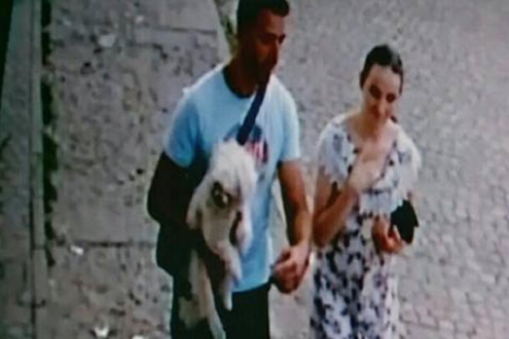 GDE MI ŽIVIMO? UKRALI MALTEZERA NASRED ULICE, ako ih vidite javite se i pomozite očajnom vlasniku! (FOTO)