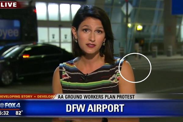 Izvinite, koleginice, ali OGROMAN PAUK vam gamiže po ruci! (VIDEO)