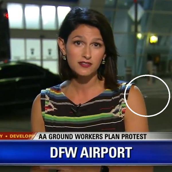 Izvinite, koleginice, ali OGROMAN PAUK vam gamiže po ruci! (VIDEO)