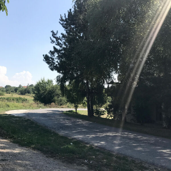 Prodaju se 2 hektara zemljišta u Barajevu: Ljudi van sebe od cene - prosto da vam se zavrti u glavi