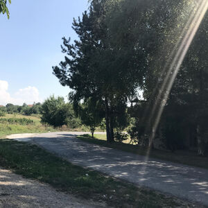 Prodaju se 2 hektara zemljišta u Barajevu: Ljudi van sebe od cene - prosto da vam se zavrti u glavi