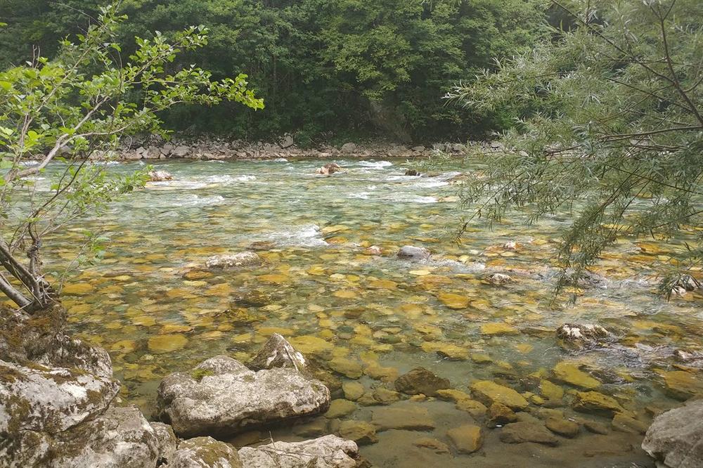 KAKO SU DANI PROLAZILI BIO JE SVE MRŠAVIJI! Misteriozna smrt Beograđanina koji je nastradao na Tari obavija Srbiju!