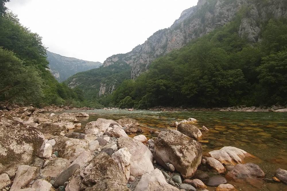 NEZAPAMĆENE KOLONE NA JEDNOJ OD NAJLEPŠIH PLANINA U SRBIJI: Tara pod opsadom turista, lepota koju treba sačuvati