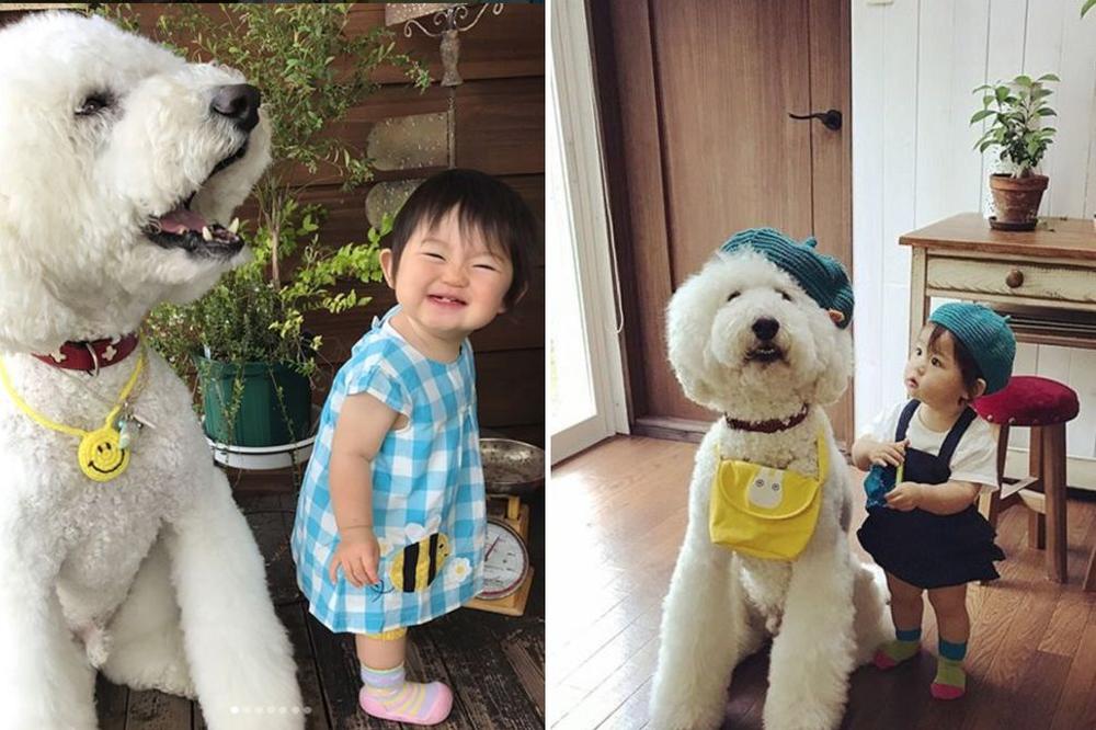 Ulepšaće vam dan: Mala Japanka ima džinovskog prijatelja i 80.000 fanova! (FOTO)