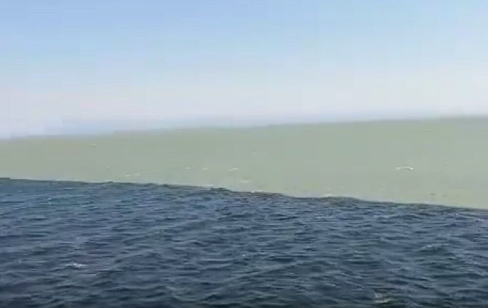Pacifik