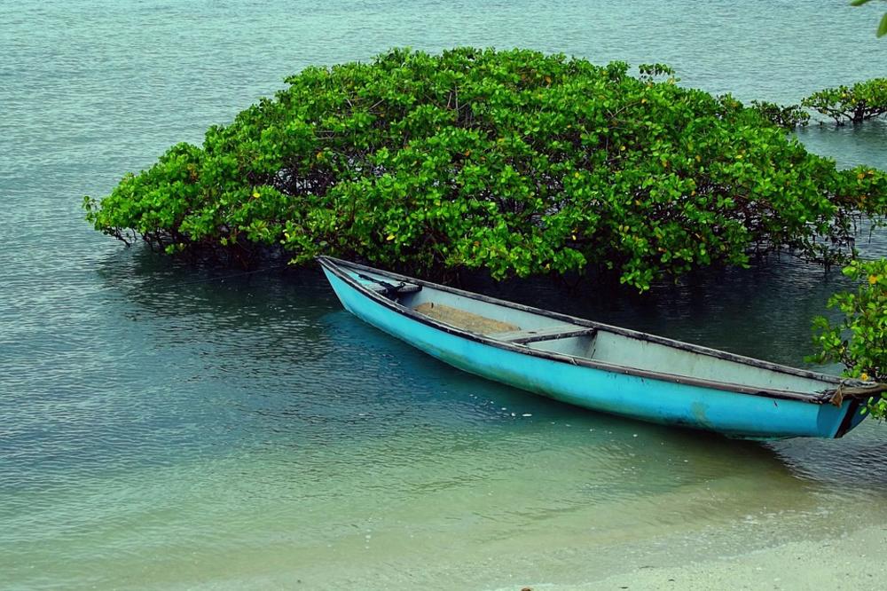 DA LI STE IKAD ČULI ZA NEŠTO BIZARNIJE? U ovom selu rađaju se kao devojčice, pa se u 12. godini preobražavaju u dečake! (FOTO)
