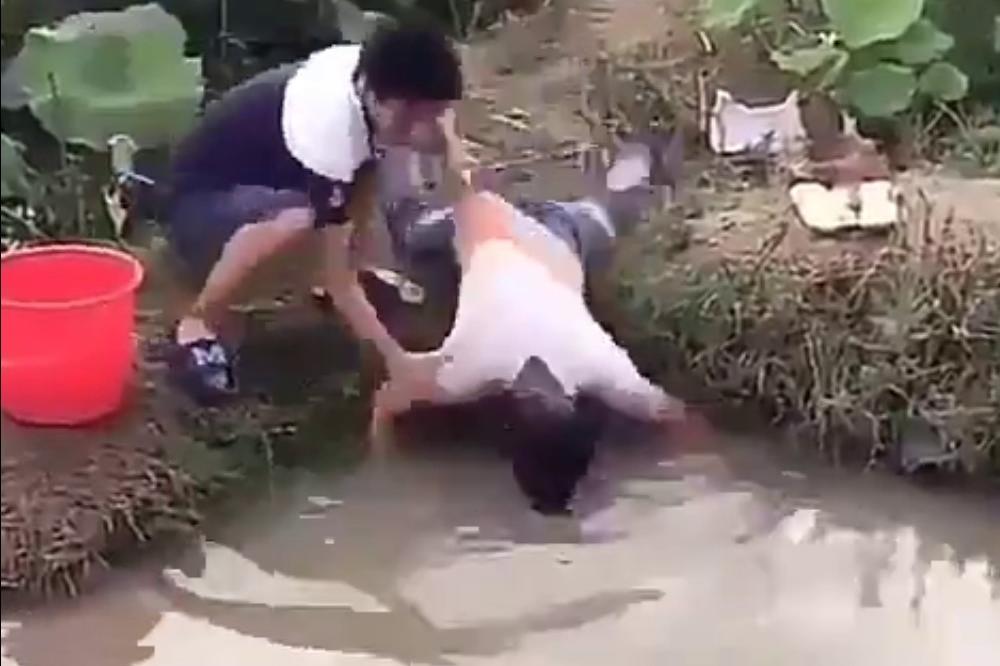 Zagnjurio glavu u vodu i lovio ribe! A onda je NAIŠLA ZMIJA! (VIDEO)