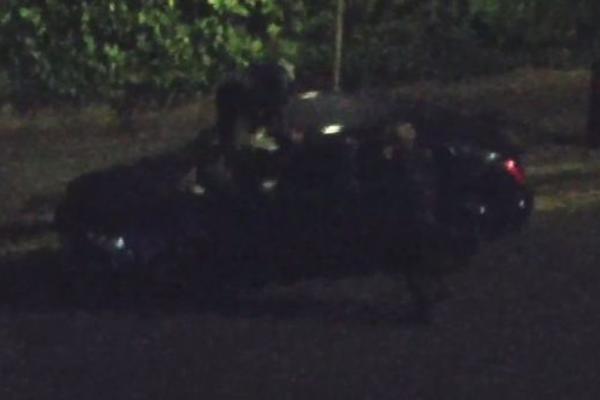 UHVATILA JE DEČKA KAKO JE VARA I OSVETILA MU SE: Cenu je platio njegov SKUPOCENI AUTO! (VIDEO)