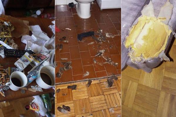 IZNAJMILA JE STAN ŽENI IZ PAKLA! Zatekla je HAOS koji ne može ni da se zamisli: Pazite se ove devojke, pogledajte šta mi je uradila sa stanom! (FOTO)