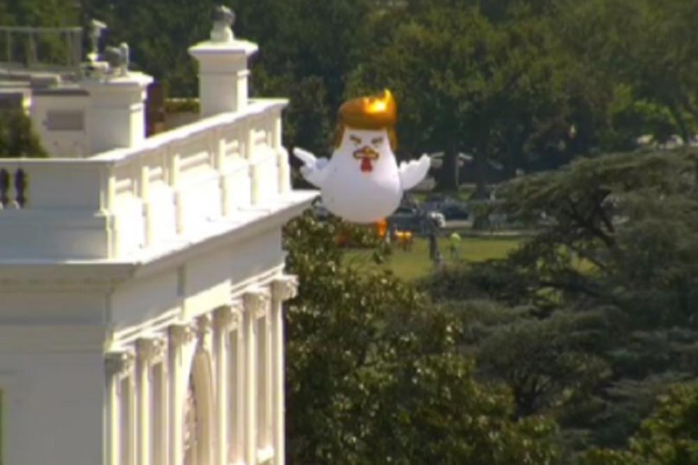 TRAMP SE ZGRANUO, ostalo je istorija! Džonovsko pile sa njegovom frizurom, osvanulo ispred Bele kuće! (VIDEO)