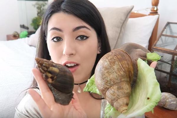 Ona je bizarna kraljica insekata: Ljubi zmije, mazi džinovske bube, a kad vidite šta još radi... (VIDEO)