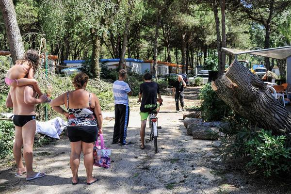 PANIKA U KOTEŽU: U parkiću punom dece PALO OGROMNO DRVO!