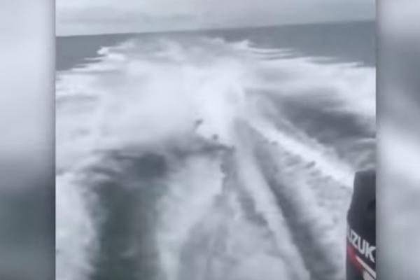 MONSTRUOZNO SE IŽIVLJAVALI! Smejući su mučili su životinju i VUKLI JE GLISEROM! (VIDEO)