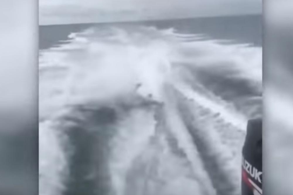 MONSTRUOZNO SE IŽIVLJAVALI! Smejući su mučili su životinju i VUKLI JE GLISEROM! (VIDEO)