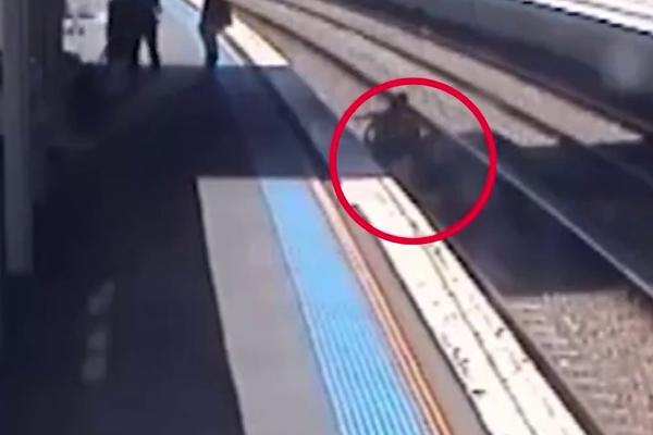 Ko ovakvoj dade decu?! U 10 sekundi umalo da joj dvoje dece nastrada! (VIDEO)