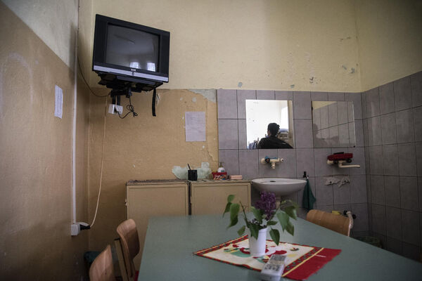 Nije dala majci ŠTRUDLU - OSUĐENA NA ZATVOR! Kako se jednoj Beograđanki život pretvorio u PAKAO zbog bizarnosti