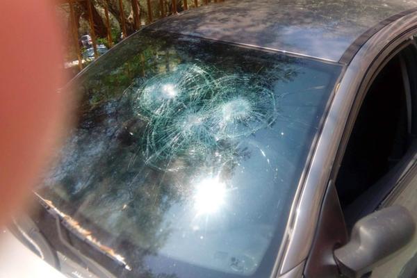 USRED CRNE GORE SRBINU RAZLUPALI AUTO! Čovek je otišao na letovanje, a vratio se s uništenim KOLIMA! (FOTO)