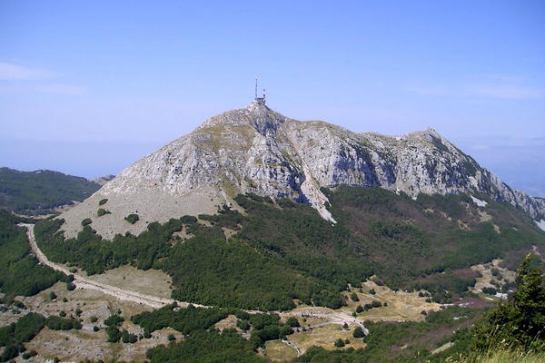 PODMETNUT POŽAR NA LOVĆENU? Vatrogasci vode bitku sa vatrenom stihijom