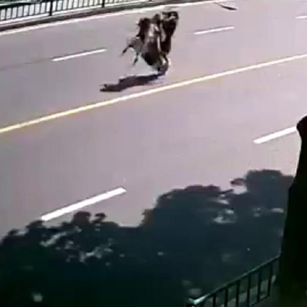 Kočenjem je porodici razbio noseve, a onda ga je i skuter napustio! (VIDEO)