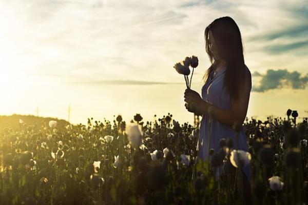 PRIRODNO I EFIKASNO: Pomozite sebi oko najčešćih zdravstvenih problema  sa ovim delotvornim biljnim melemima!