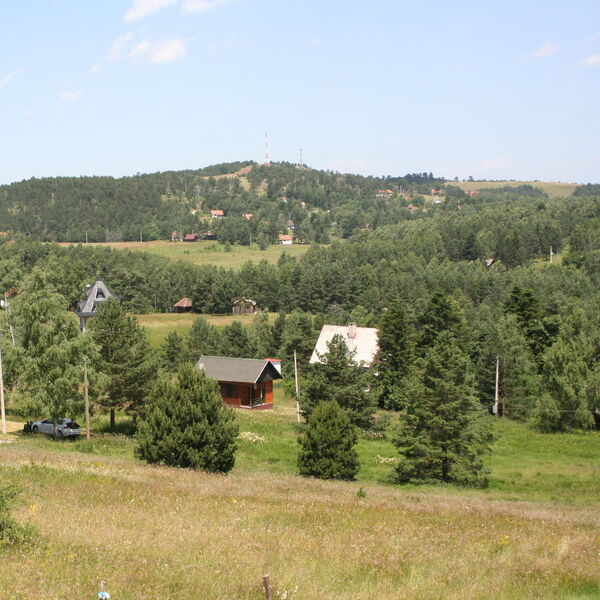 Violeta prodaje plac kod Divčibara: Blizu je svega, nije skup, a turisti tu hrle, može masno da se zaradi!