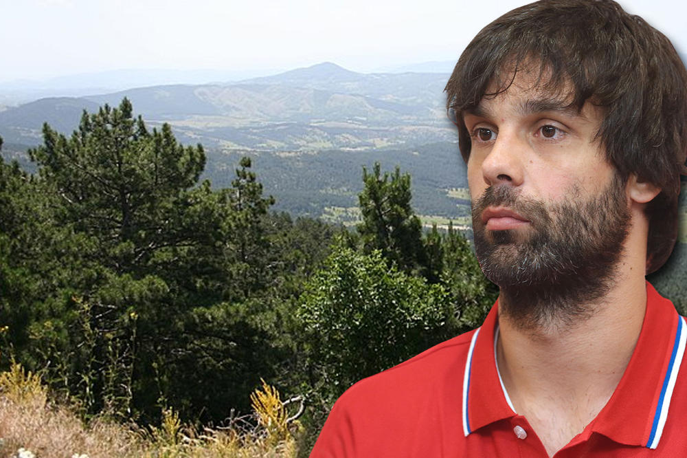 TEO POSEKAO ŠUMU NA DIVČIBARAMA ZBOG SVOG KAMPA? Meštani poludeli od besa, ali šta je prava istina? (FOTO)