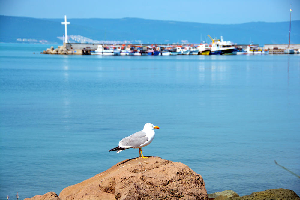 OVO MORAJU DA PROČITAJU SVI KOJI BI DA LETUJU U BUGARSKOJ: 2 stvari NIKAKO NE SMETE DA KORISTITE