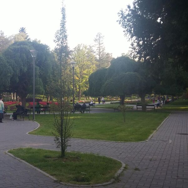 ZAVOD ZA JAVNO ZDRAVLJE: Otkazati Vrnjački karneval