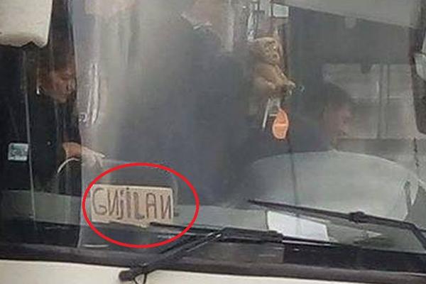 Ono kad ti je srpski bio najteži predmet! OVOM VOZAČU SE SMEJE CELA SRBIJA! (FOTO)