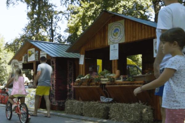 FESTIVAL ZDRAVOG ŽIVOTA! Pravac Topčiderski park, za vikend se održava ORGANIC LIVE FEST! (FOTO) (VIDEO)