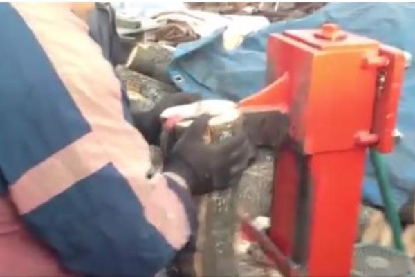 NAJJAČI SRPSKI IZUM IKADA! Bacite sekire, stigla je mašina za cepanje drva! (VIDEO)