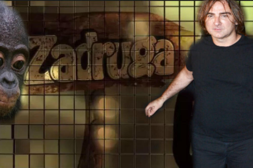 EKSKLUZIVNO OTKRIVAMO! U Zadrugu zaista ulazi BEBA od 8 meseci, ali BEBA MAJMUNA! Ovako je Željko PREVARIO Srbiju