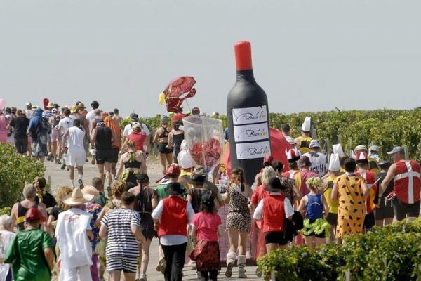 Sjajni besplatni koncerti na prvom vinskom maratonu Srbije: Takmičari iz više od 10 zemalja