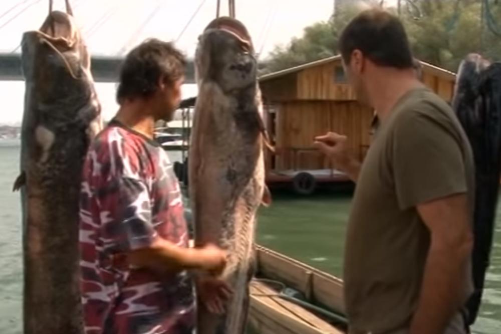 DOKAZANO, ČUDOVIŠTA NA ADI POSTOJE! NAJTEŽE JE IMALO 137 KG, jedu pse, mačke, a LJUDIMA MOGU URADITI OVO!