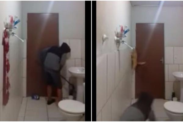 Ovaj dečko je sa svojim mačkom krenuo da istera pacova! A ONDA JE NEŠTO KRENULO PO ZLU! (VIDEO)