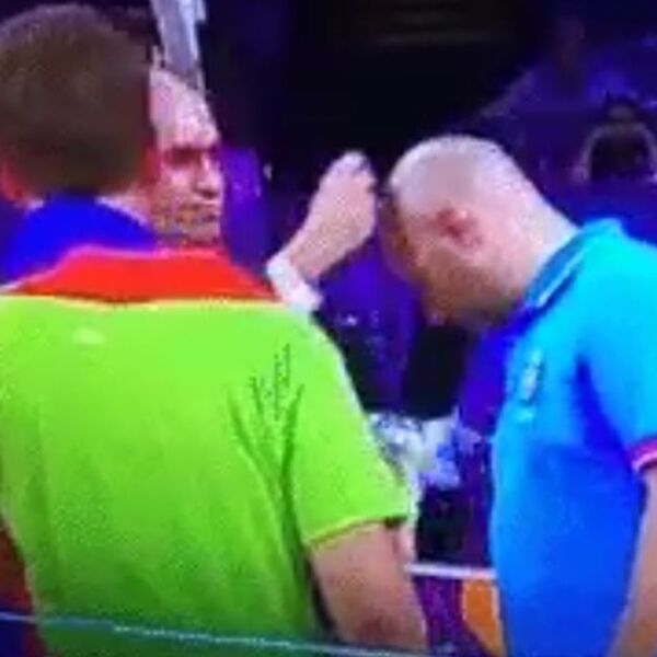 CELA SRBIJA JE APLAUDIRALA ĐORĐEVIĆU ŠTO JE ISKULIRAO BRNABIĆKU: A šta se zaista dešavalo posle? (FOTO)