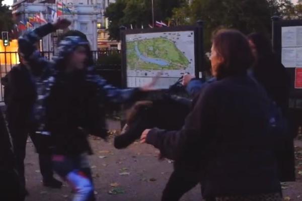 MAKLJAŽA U HAJD PARKU: Potukle se feministkinje i transseksualci, STARIJU ŽENU BACILI NA POD I BRUTALNO JE IZUDARALI! (VIDEO)