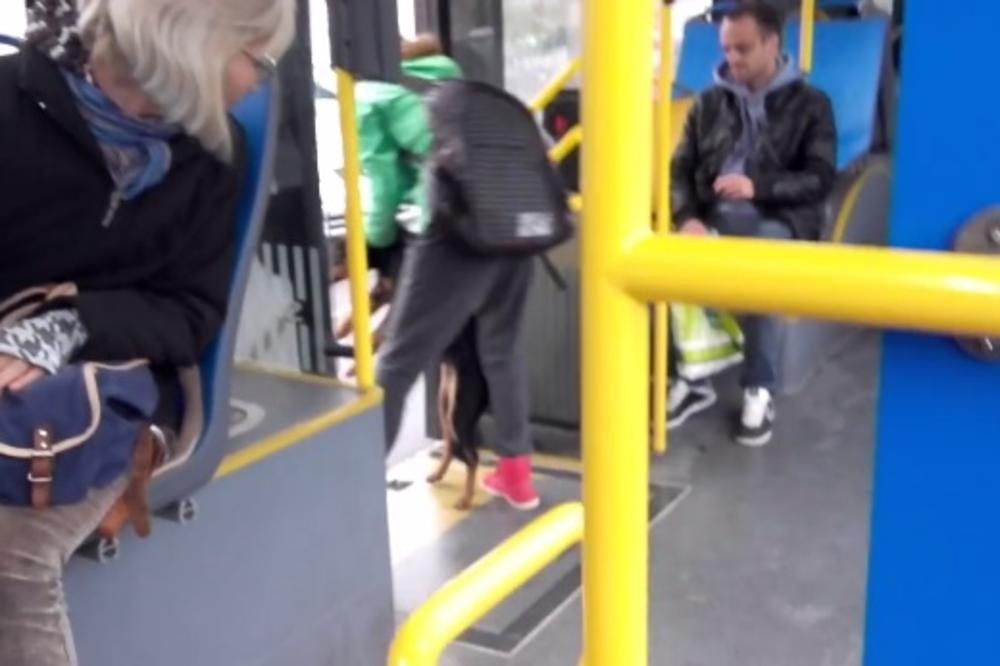 ŽENA JE UŠLA U AUTOBUS SA DETETOM U RUKAMA: Kada je nastala gužva, doživela je NEPRIJATNOST kao nikada do sada!